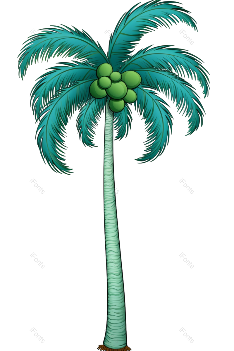 装饰图片,元素元素,夏天PNG,椰子免抠素材